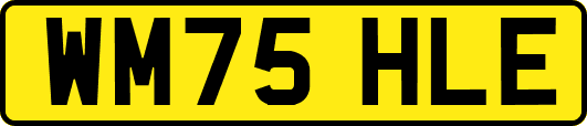 WM75HLE