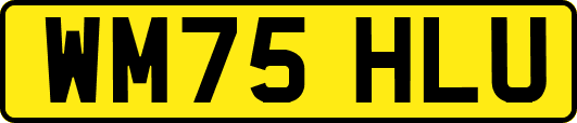 WM75HLU