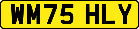 WM75HLY