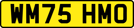 WM75HMO