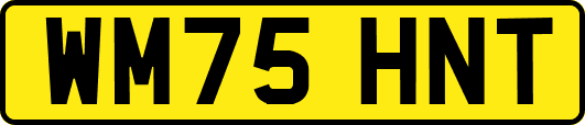 WM75HNT