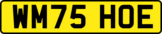 WM75HOE