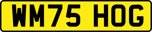 WM75HOG