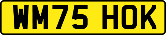 WM75HOK