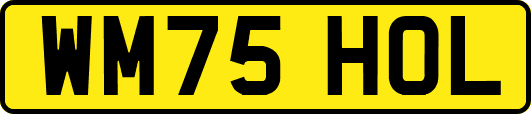 WM75HOL