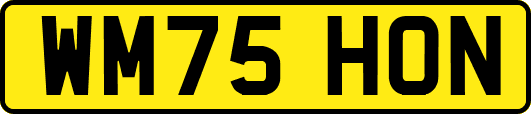 WM75HON