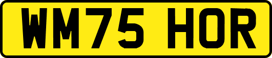 WM75HOR