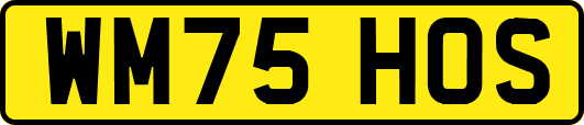 WM75HOS