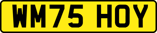 WM75HOY