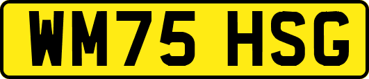 WM75HSG