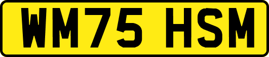 WM75HSM