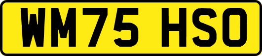 WM75HSO