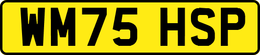 WM75HSP