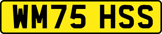 WM75HSS