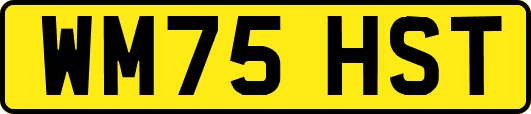 WM75HST