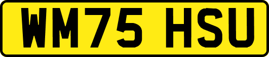 WM75HSU