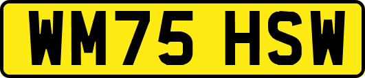 WM75HSW