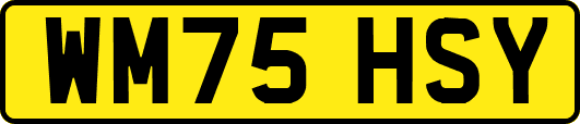 WM75HSY