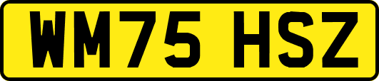 WM75HSZ