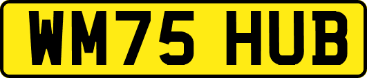 WM75HUB