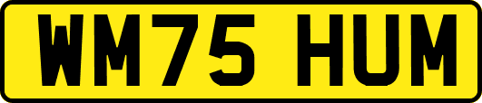 WM75HUM