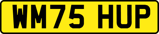 WM75HUP