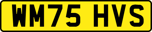WM75HVS