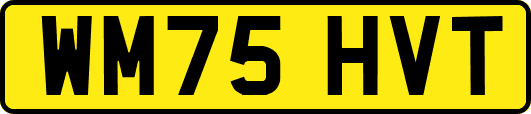 WM75HVT