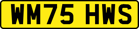 WM75HWS