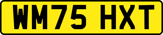 WM75HXT