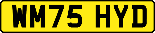 WM75HYD
