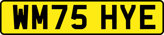 WM75HYE