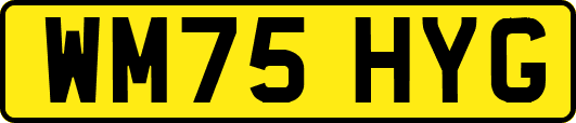 WM75HYG