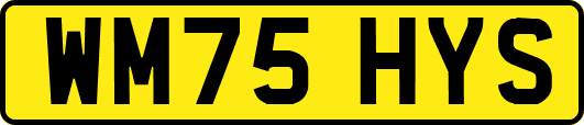 WM75HYS