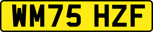 WM75HZF