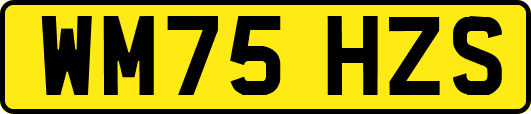 WM75HZS