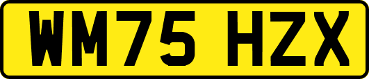 WM75HZX