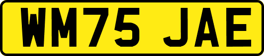 WM75JAE