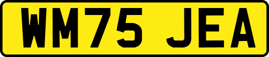 WM75JEA