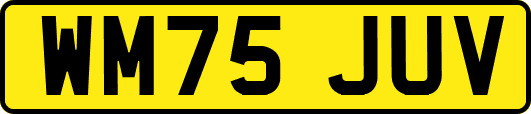 WM75JUV