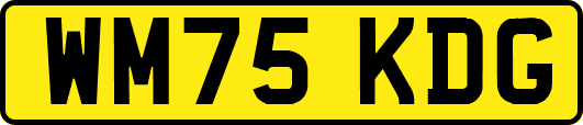 WM75KDG