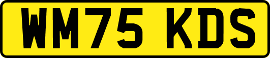 WM75KDS