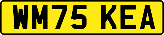 WM75KEA