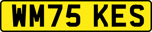WM75KES