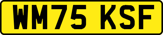 WM75KSF