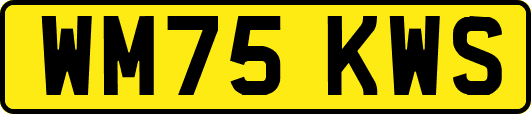 WM75KWS