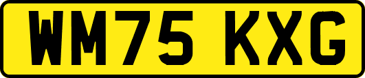 WM75KXG