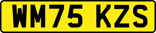 WM75KZS