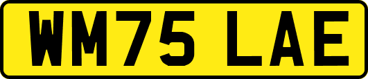 WM75LAE