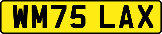 WM75LAX